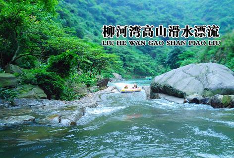 安顺龙宫旅行社纯玩团报价,荔波小七孔旅行社排名前十名