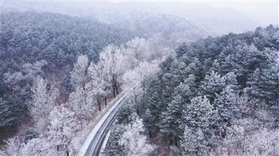 清朝是如何管理蒙古的?-专业有问必答平台